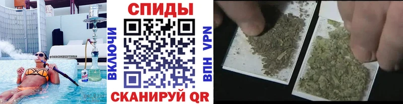 Купить где  Алзамай  БУТИРАТ 99% 