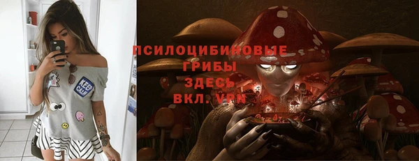 ALPHA PVP Михайловск