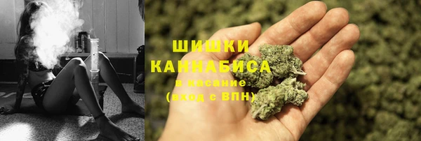 стаф Медногорск