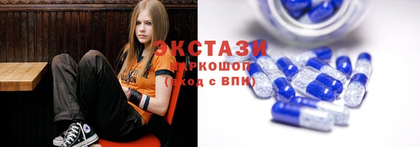 стаф Медногорск