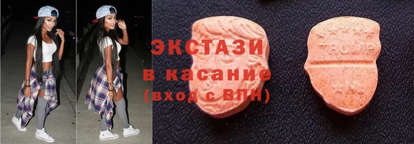 стаф Медногорск