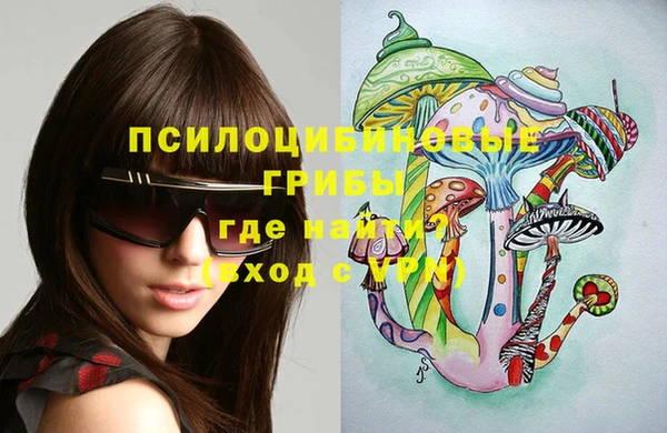 apvp Медвежьегорск