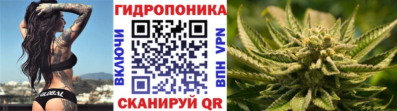 Купить где  Алзамай  Бошки марихуана Bruce Banner 